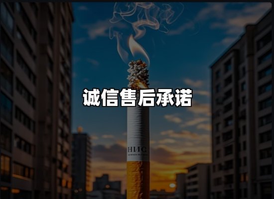 专业优势